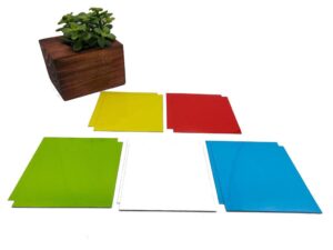 Wiederbeschreibbare Magnete in verschiedenen Farben (bunt) mit einer Pflanze im Hintergrund.